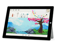 当雄Surface 无法开启、Windows 无法启动或电池无法充电